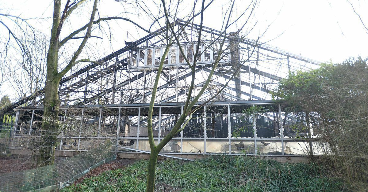 Das Ist Vom Krefelder Affenhaus Nach Dem Inferno Noch Ubrig