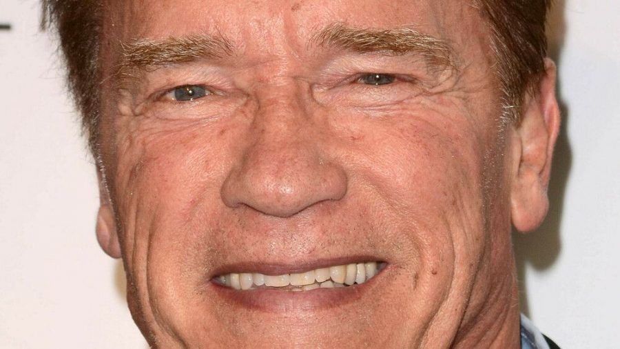 Arnold Schwarzenegger So Lustig War Seine Impfung