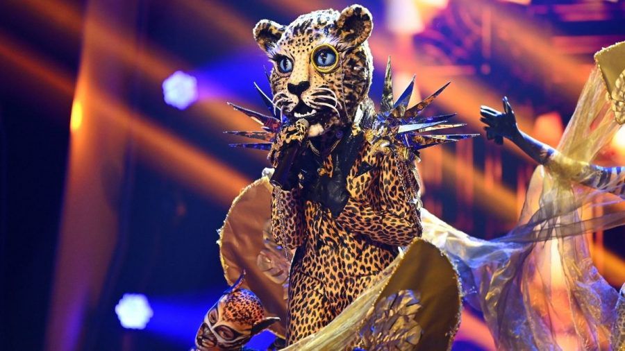 „The Masked Singer“: Diese Promis stecken hinter den letzten Masken