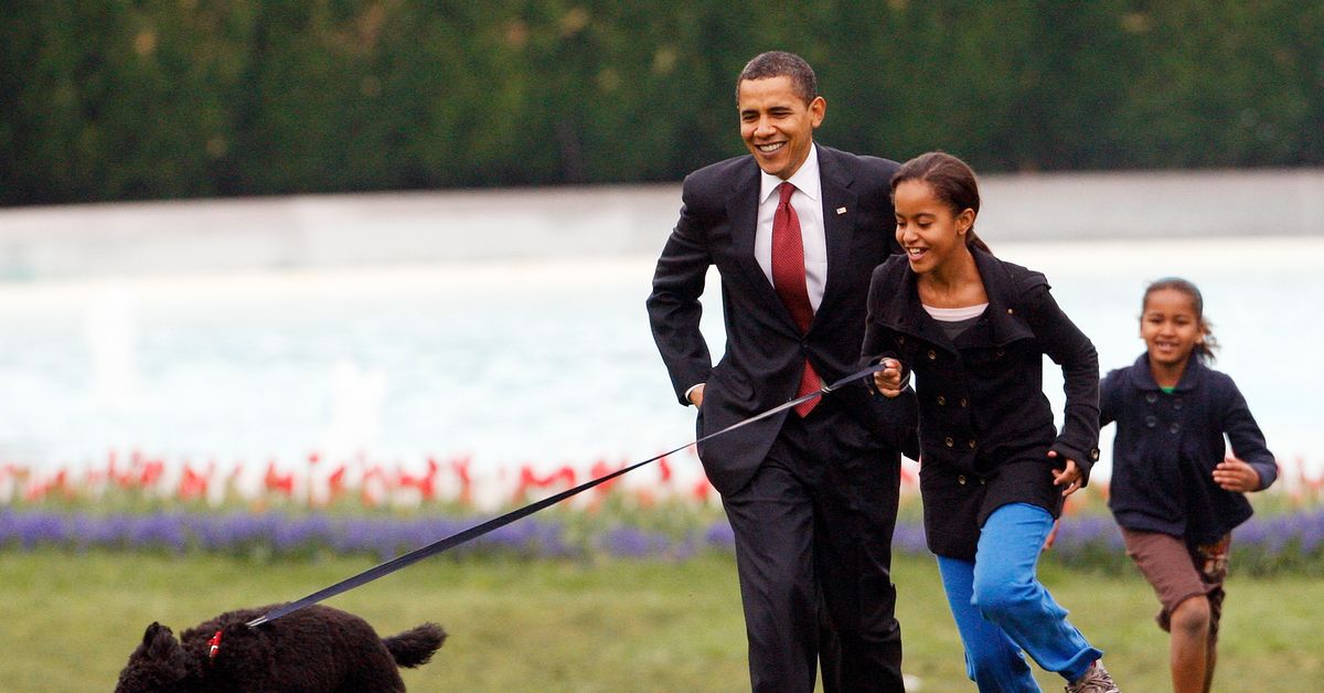 Die Obamas trauern um Familienhund Bo