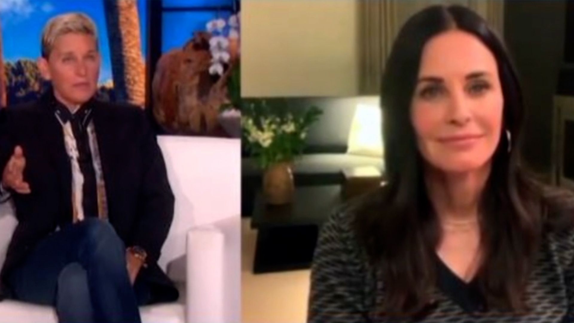 Die Mega Hollywood-WG: Ellen DeGeneres zieht bei Courteney ...