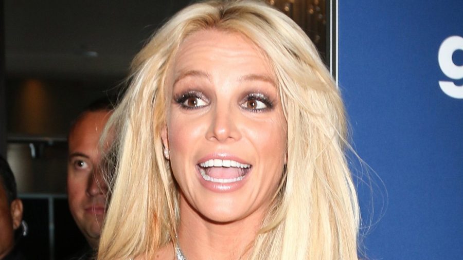 Britney Spears stellt auf Instagram ihren neuen Welpen vor. (jes/spot)