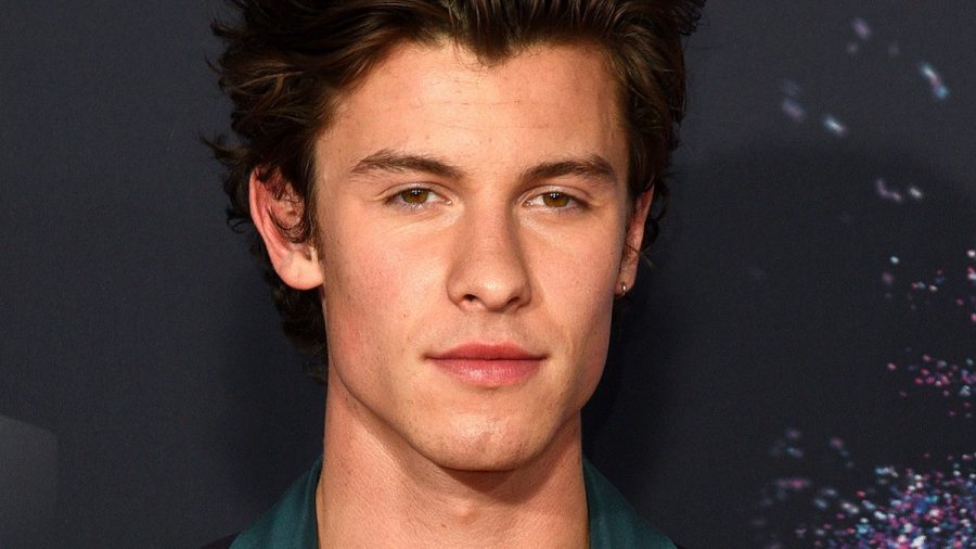 Shawn Mendes fühlt sich einsam als Single