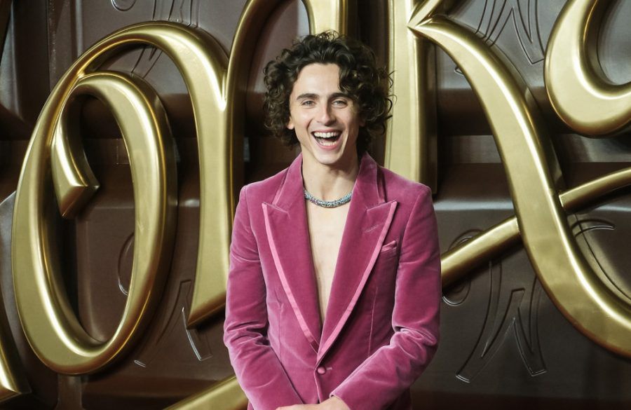 Timothee Chalamet Wonka world premiere November 2023 Avalon BangShowbiz