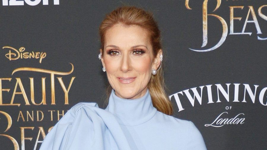 Céline Dion träumt davon, eines Tages wieder Konzerte geben zu können. (the/spot)