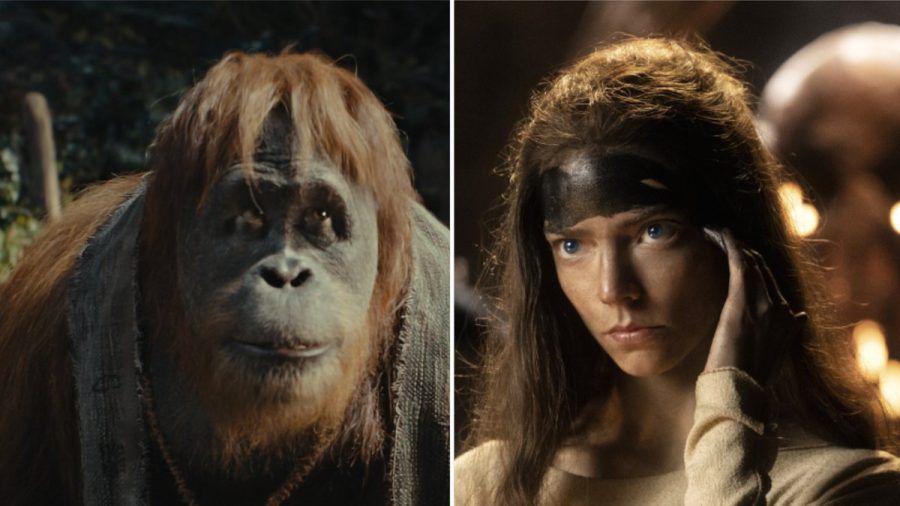 In "Planet der Affen 4" (l.) und "Furiosa: A Mad Max Saga" ist es nicht allzu gut um die menschliche Zivilisation bestellt. (stk/spot)