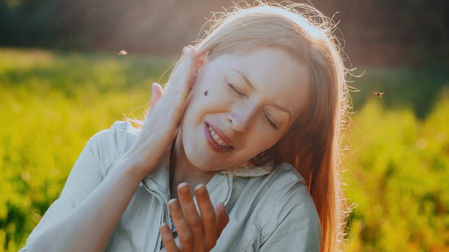 Im Sommer 2024 droht nach starken Regenfällen eine Mückenplage. (ncz/spot)