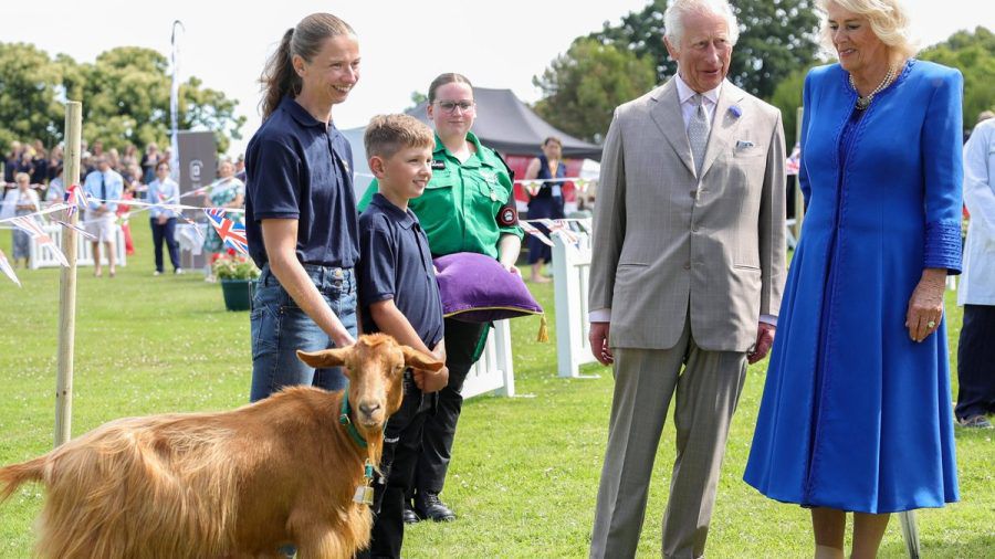 König Charles III., Königin Camilla und die Goldene Guernsey-Ziege Tamsin auf der Kanalinsel Guernsey. (lau/spot)