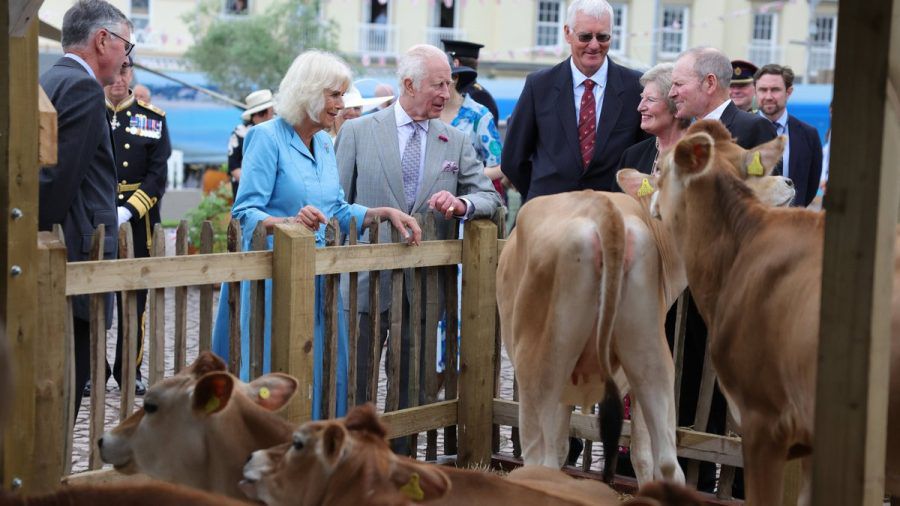 Königin Camilla und König Charles III. begrüßen auf Jersey die neuen Bewohner der "Home Farm" des Highgrove Estate. (the/spot)