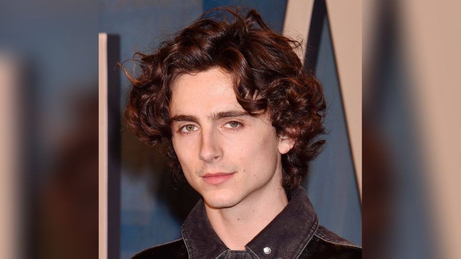 Timothée Chalamet wird zu Marty Reisman. (smi/spot)