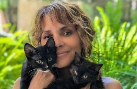 Halle Berry With Her Cats Boots And Coco - Instagram - Collected July 20th 2024 BangShowbiz