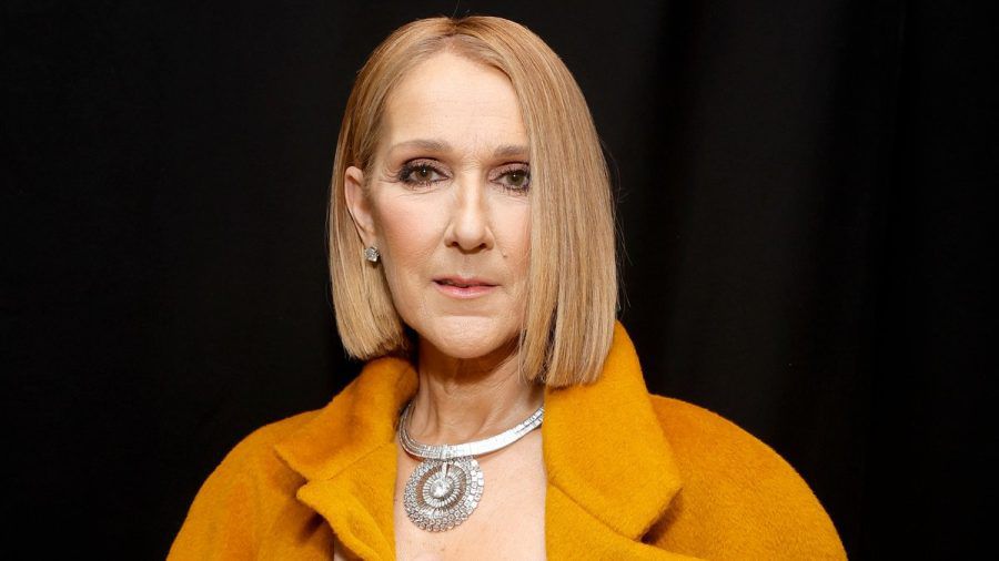 Céline Dion hatte da etwas richtigzustellen. (stk/spot)