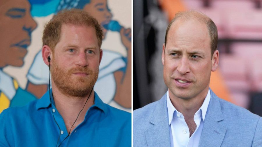 Treffen Prinz Harry und Prinz William in New York City aufeinander? (ili/spot)