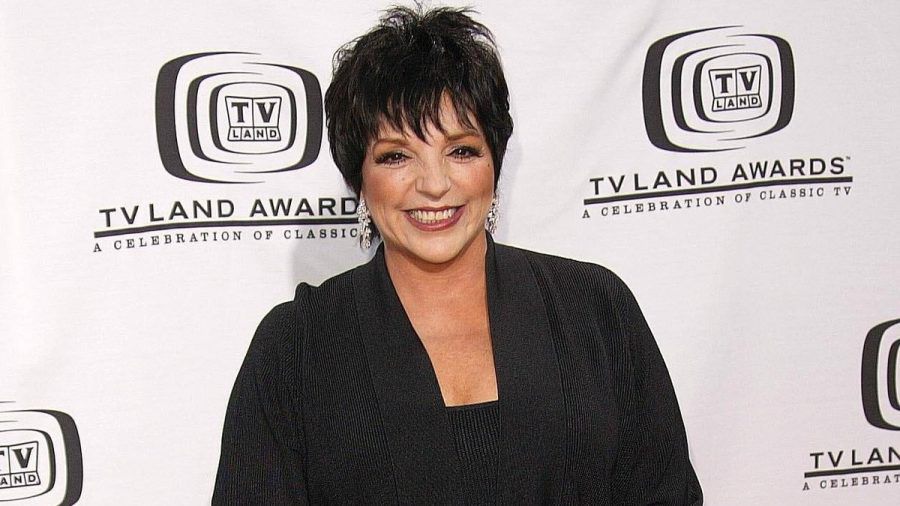 Liza Minnelli steht seit mehreren Jahrzehnten in der Öffentlichkeit. (noe/spot)