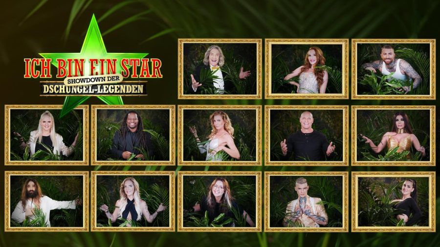 Das Allstars-Dschungelcamp ist ab 16. August bei RTL zu sehen. (jom/spot)