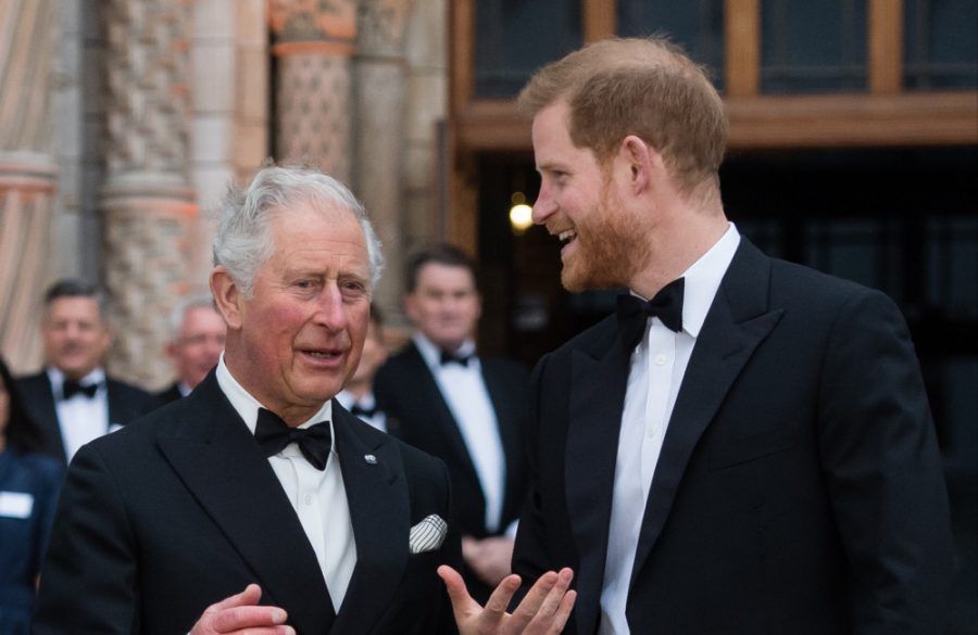 King Charles and Prince Harry at Our Planet Prem London April 2019 - Getty BangShowbiz