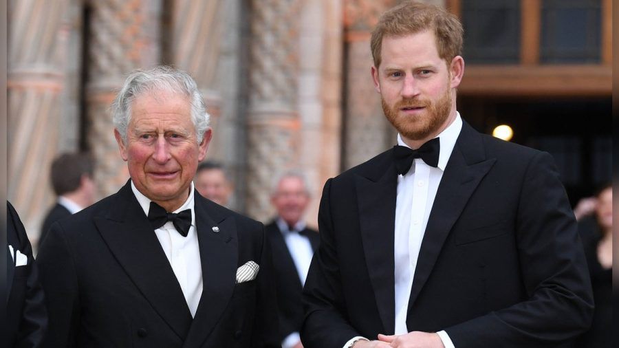 König Charles und sein Sohn Prinz Harry: Gibt es bald wieder gemeinsame Auftritte? (hub/spot)