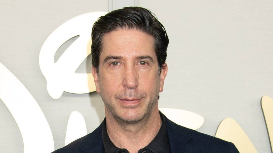 David Schwimmer bereut manche Entscheidungen seiner Karriere. (mia/spot)