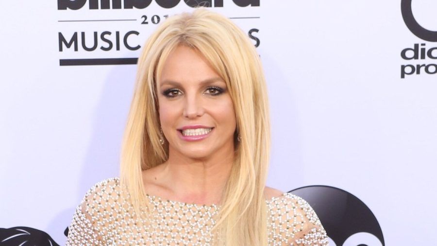 Britney Spears hat ihren Söhnen öffentlich Geburtstagsgrüße zugesendet. (paf/spot)