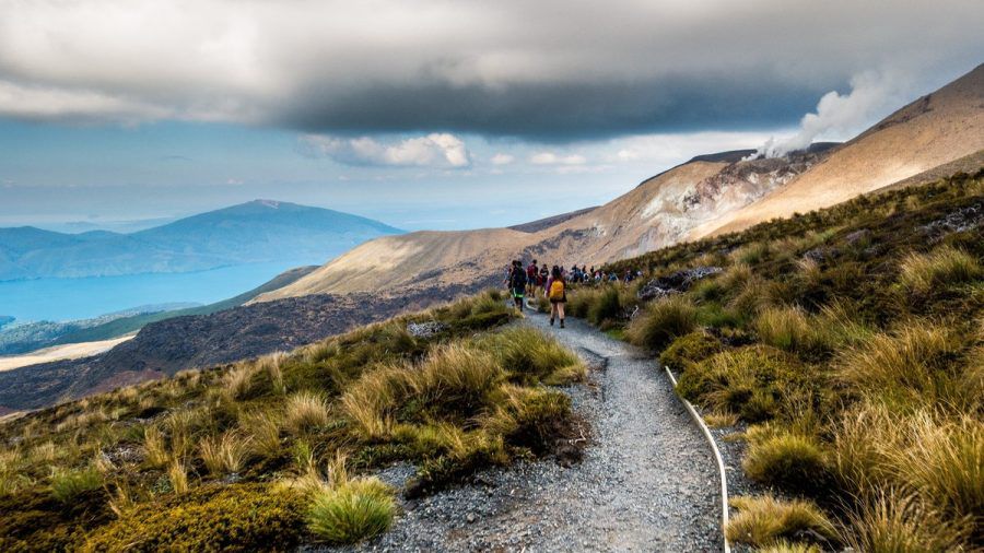 In Neuseeland beginnt im Oktober der Frühling. (elm/spot)