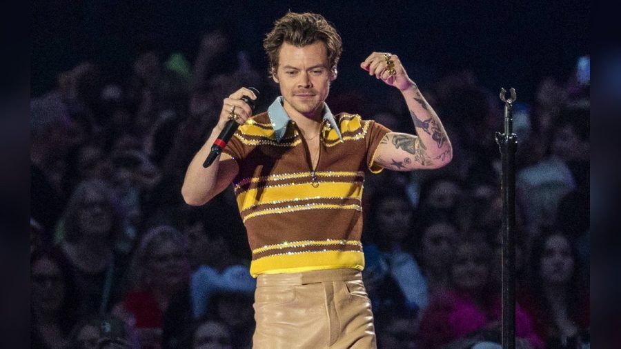 Harry Styles ist der reichste Brite unter 30 Jahren. (ncz/spot)