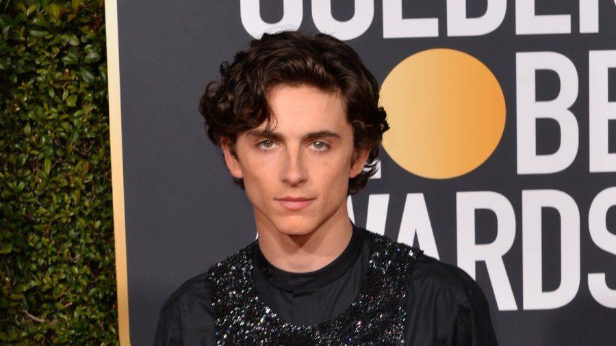 Schauspieler Timothée Chalamet überraschte seine Fans in New York und stattete seinem eigenen Lookalike-Wettbewerb einen Besuch ab. (ym/spot)