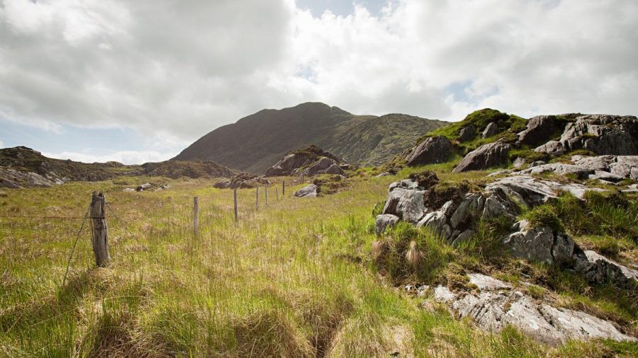 Irland sieht sich als die Heimat von Halloween. (wue/spot)