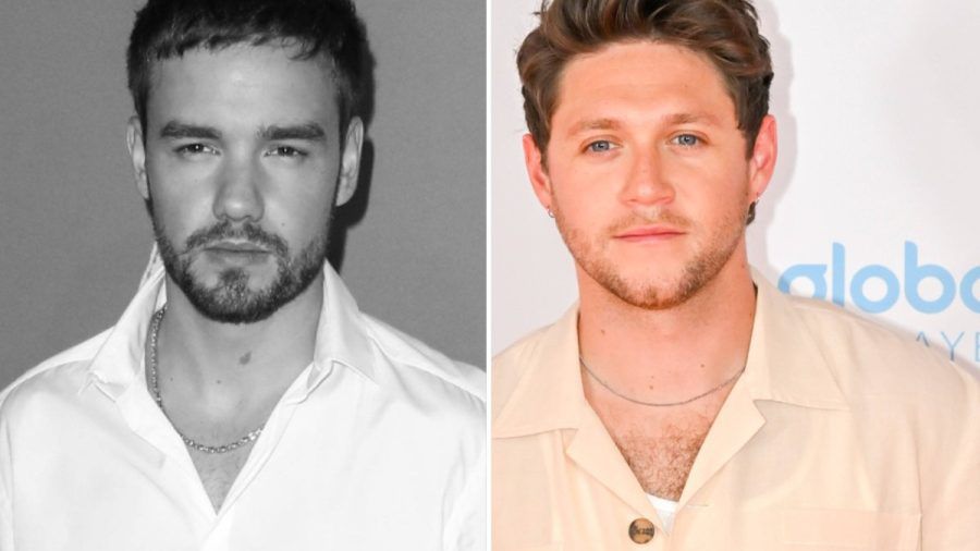 Niall Horan (r.) und Liam Payne wurden gemeinsam in der Band One Direction berühmt. (lau/spot)