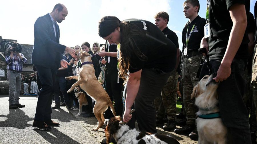 Prinz William während seines Aufenthalts in Cornwall. (wue/spot)