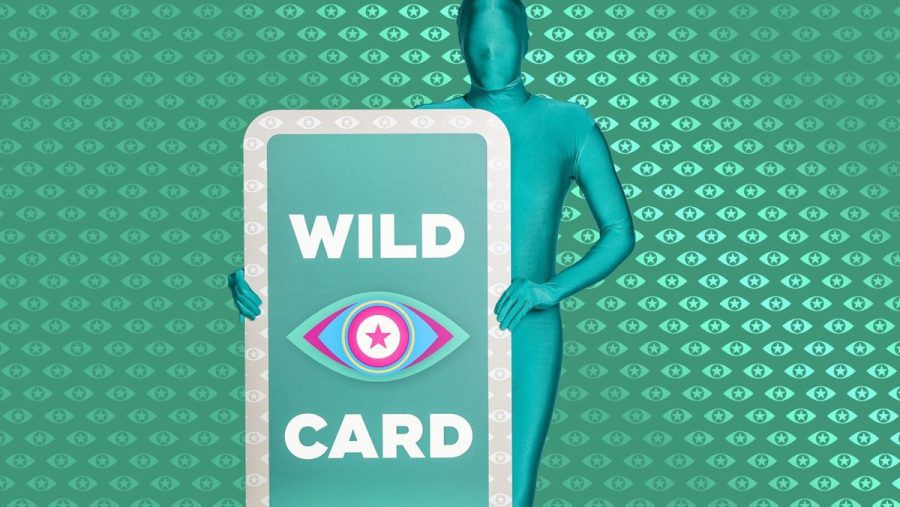 Das Geheimnis um die Wildcard ist gelüftet. (smi/spot)