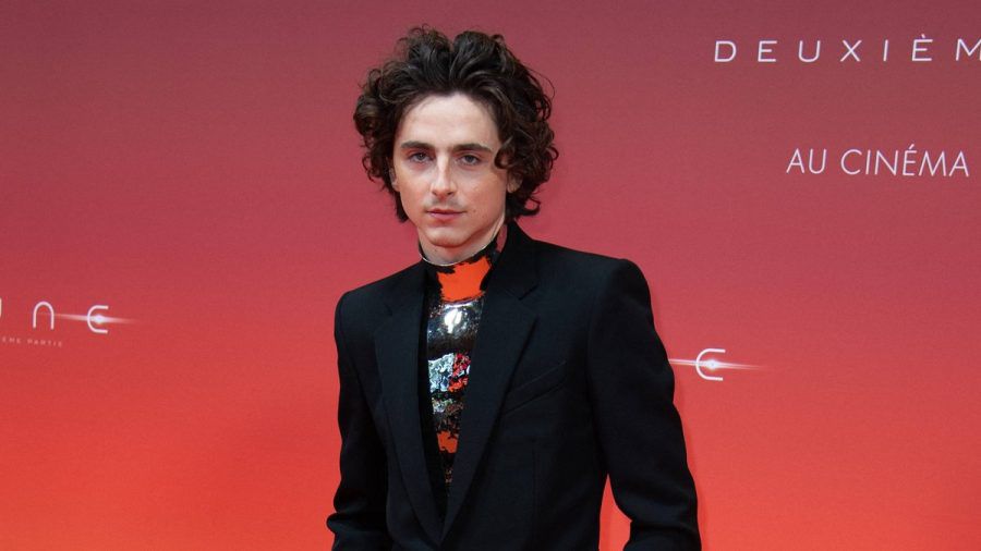 Timothée Chalamet wurde zu Beginn seiner Karriere für seine Figur kritisiert. (eyn/spot)