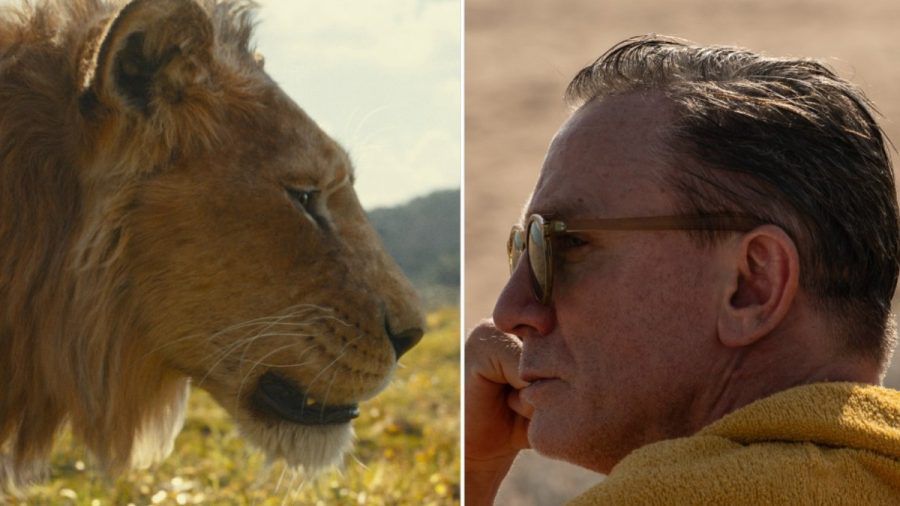 "Mufasa: Der König er Löwen" trifft im Dezember auf Daniel Craig in "Queer". (stk/spot)