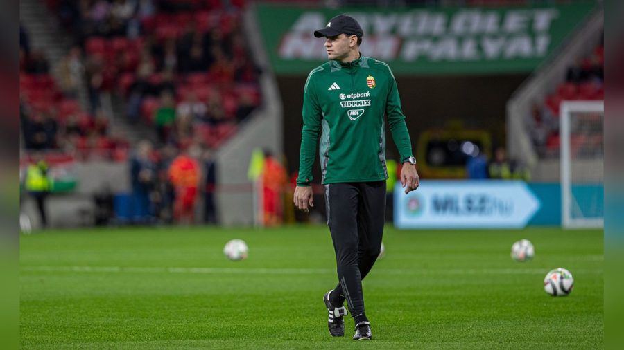 Adam Szalai brach am Samstagabend im Amsterdamer Stadion zusammen. (dr/spot)