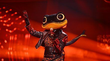 Das Halbfinale von "The Masked Singer" war die Endstation für den Feuersalamander. (hub/spot)