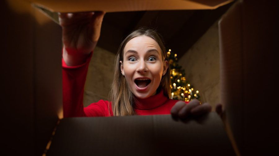 Die Geschenke sollten natürlich rechtzeitig unterm Weihnachtsbaum liegen. (wue/jmk/spot)