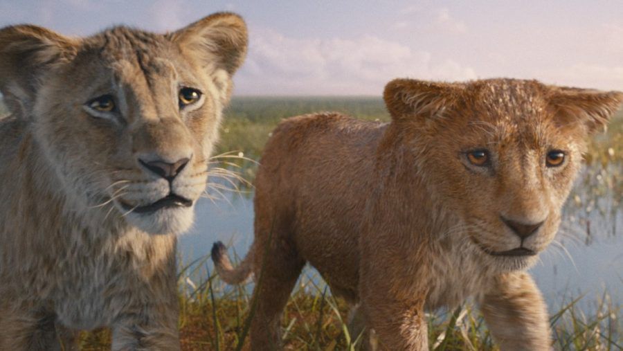 Fotorealistische Gefühlsregungen: Die jungen Löwen in "Mufasa: Der König der Löwen". (lau/spot)