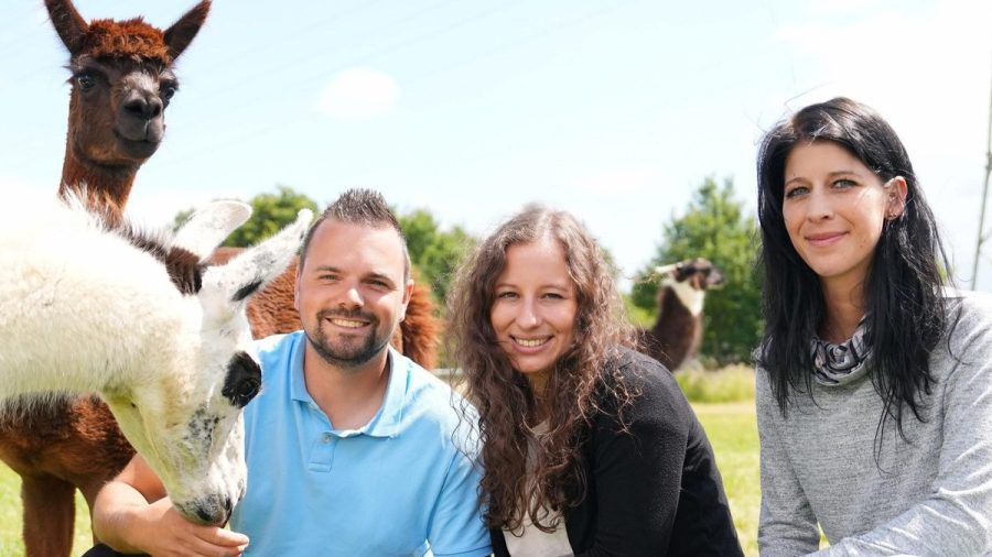 Gruppenbild mit Alpakas: Marvin mit Eva (M.) und Sabrina. (smi/spot)