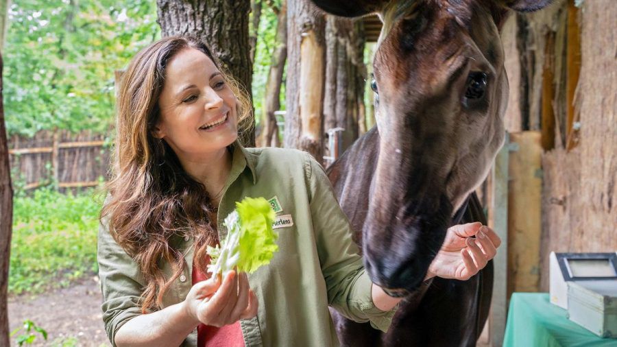 Elisabeth Lanz kehrt als "Tierärztin Dr. Mertens" zurück. (sv/spot)