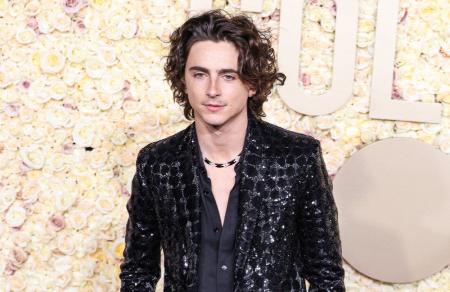 Timothee Chalamet -  Golden Globe Awards 2024 - Avalon BangShowbiz