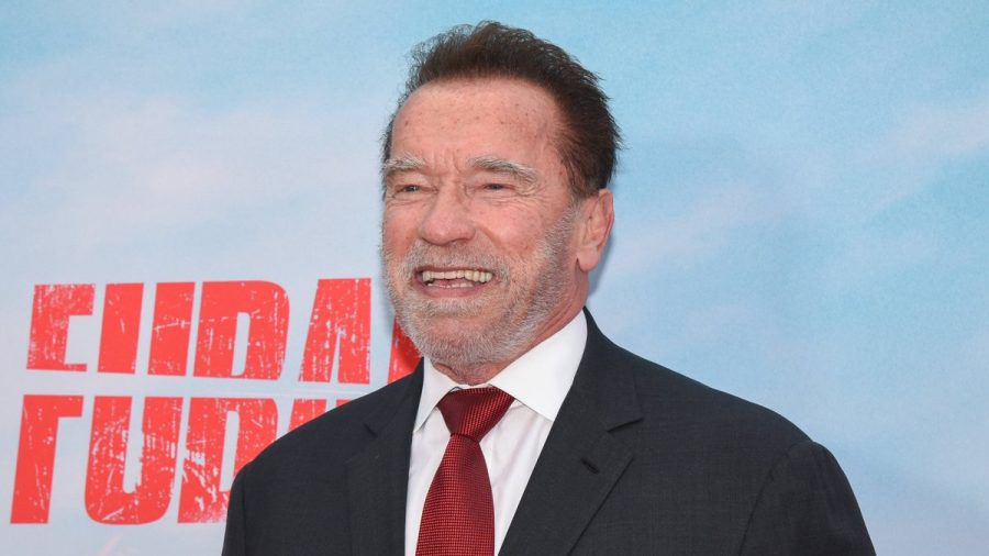 Arnold Schwarzenegger unterstützt die Opfer der Feuerkatastrophe in Los Angeles mit einer hohen Geldsumme. (dam/spot)