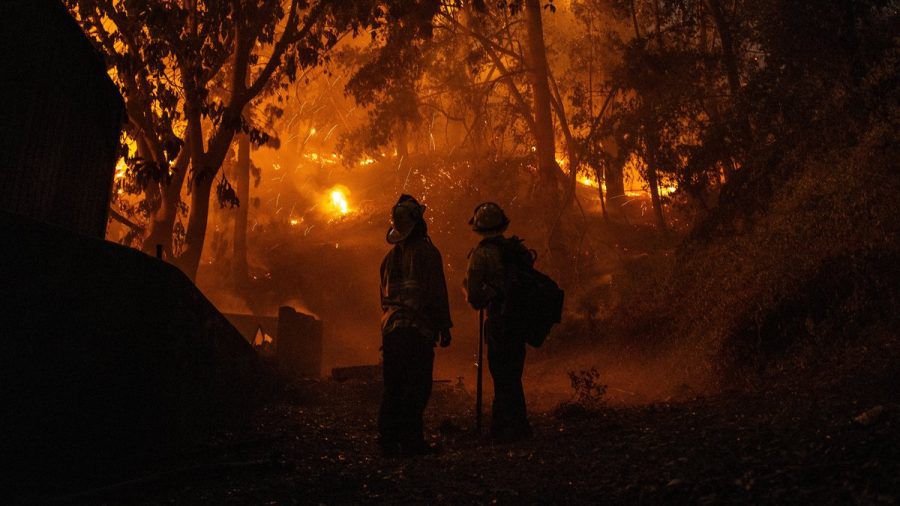 Zwei Feuerwehrmänner vor den Flammen des "Sunset Fire" in den Hollywood Hills. (wue/spot)