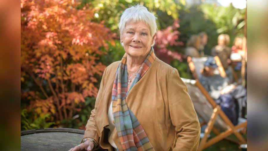 Judi Dench spricht bewundernswert offen über ihre Augenerkrankung. (dr/spot)