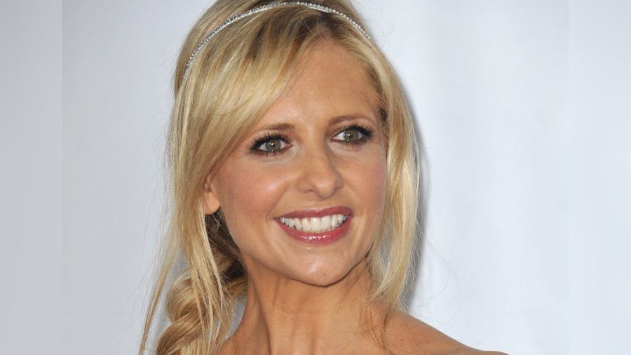 Sarah Michelle Gellar will wieder zu "Buffy" werden. (smi/spot)